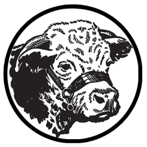 cropped-torito-logo