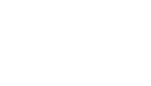 hectors auto repair