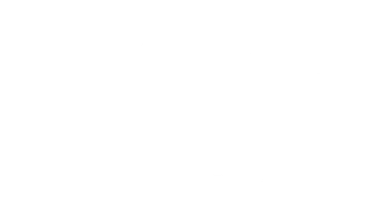 hectors auto repair