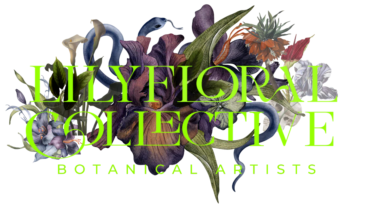 lily floral collective
