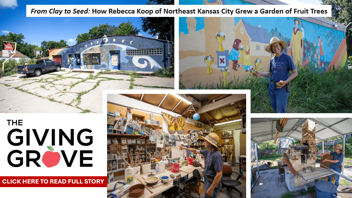 Rebecca Koop Story 2025